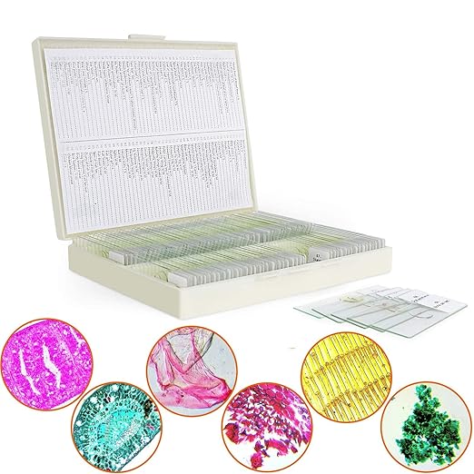 100 Microscope Slides with Specimens for Kids and Adults, Prepared Microscope Slides with Plants Animals Insects for Students Homeschool Edu