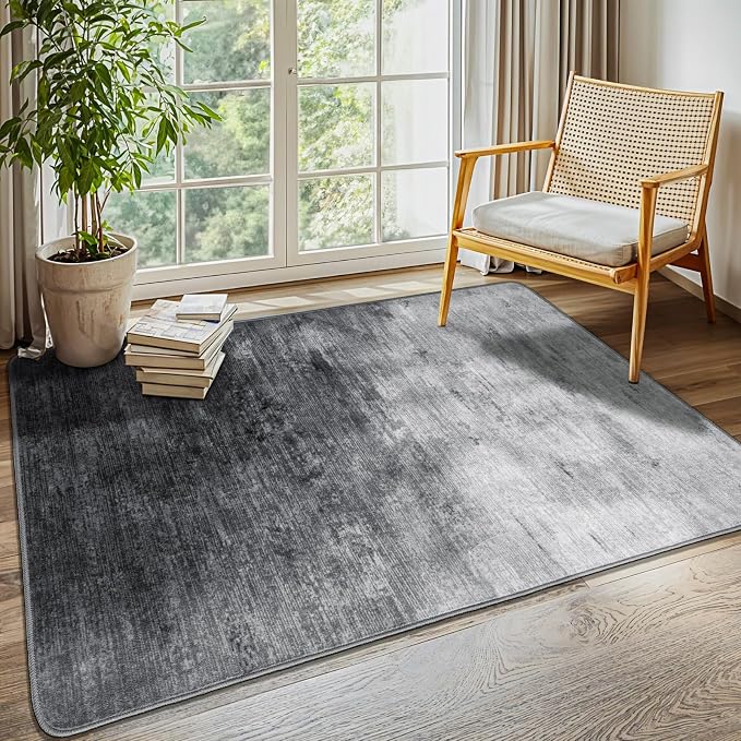LIANLAM Washable Rug 4x6 Area Rugs by LIANLAM