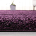 SAFAVIEH California Shag Collection Area Rug by Unknown
