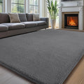 Sour Lemon 8x10 Area Rugs for Living Room, Soft Large Area Rug Fluffy Rugs for by SourLemon