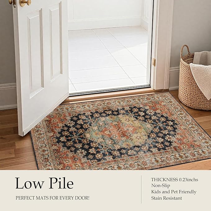 Ruaruarug Washable Area Rug 2x3 - Image 4