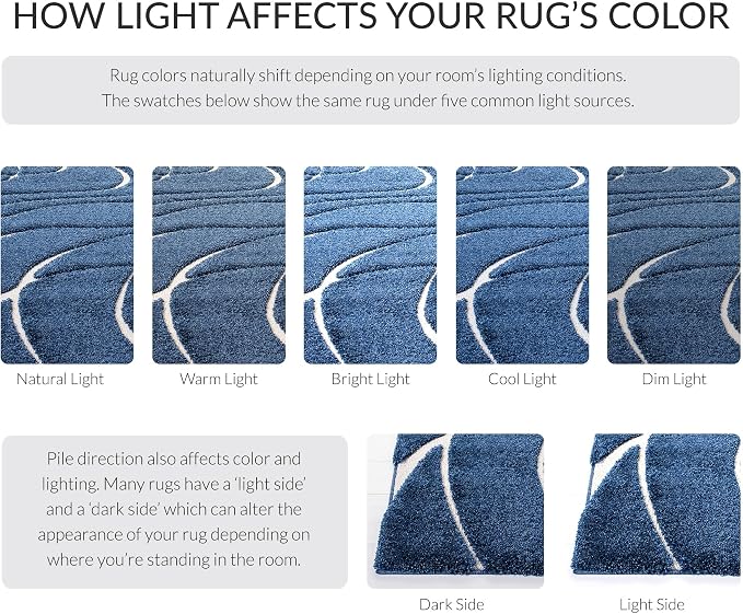 SAFAVIEH Florida Shag Collection Accent Rug - Image 8