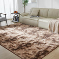 Ultra Soft Rug for Living Room, 3X5 Fluffy Shag Area Rug for Bedroom, Modern by Fairblink