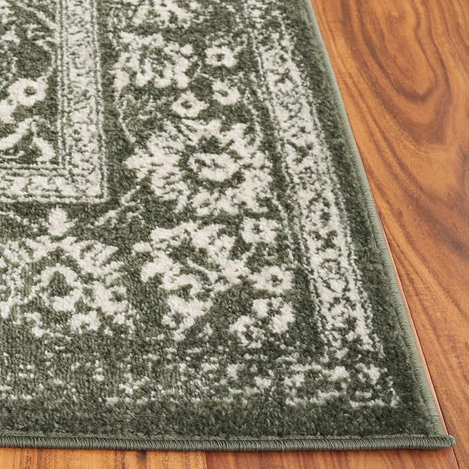SAFAVIEH Adirondack Collection Area Rug - Image 3