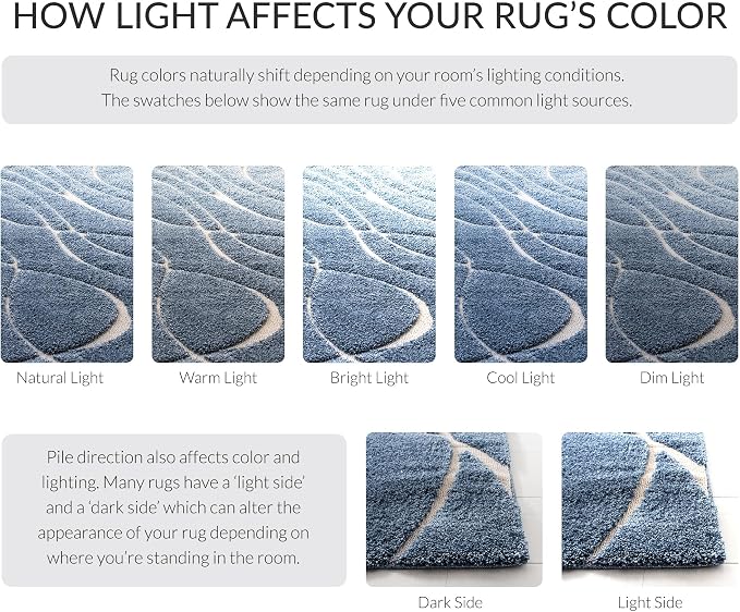 SAFAVIEH Florida Shag Collection Area Rug - Image 9