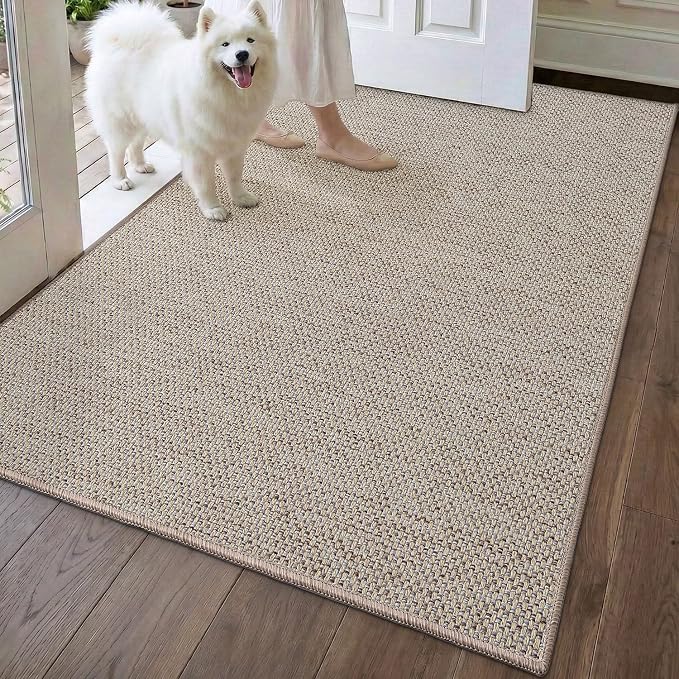 DEXI Ultra Thin Door Mat Indoor Entrance 32x48, Non Slip Rubber Backed Entryway by DEXI