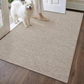 DEXI Ultra Thin Door Mat Indoor Entrance 32x48, Non Slip Rubber Backed Entryway by DEXI