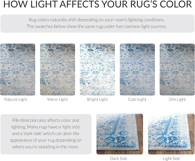 SAFAVIEH Adirondack Collection Accent Rug - Image 6