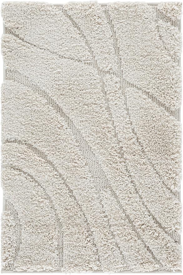 SAFAVIEH Florida Shag Collection Accent Rug - Image 2