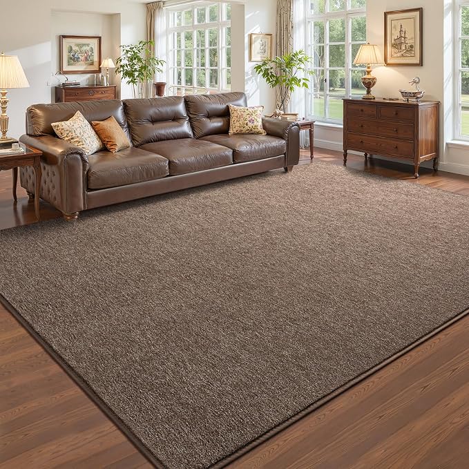 Pettop 4x6 Brown Area Rugs for Living Room Bedroom, Thickened Memory-Foam Throw by Pettop