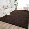 Litanika 5x8 Shag Area Rug for Living Room Bedroom, Non-Shedding Modern Indoor by Litanika