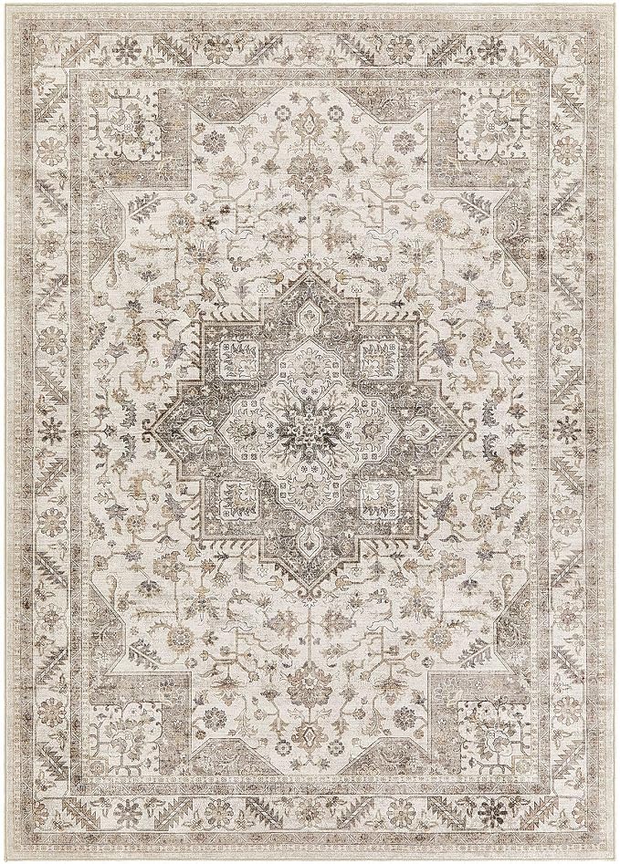 Vintage Living Room Area Rug 7x9 - Image 10
