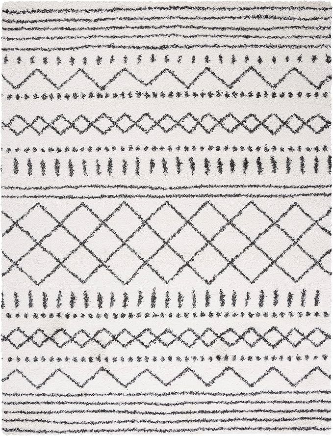 SAFAVIEH Area Rug 10x14 - Image 3
