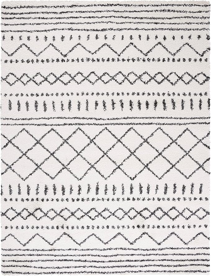 SAFAVIEH Area Rug 10x14 - Image 3