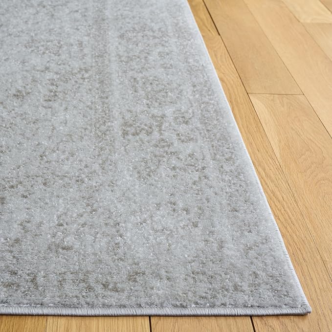 SAFAVIEH Area Rug 4x6 - Image 3