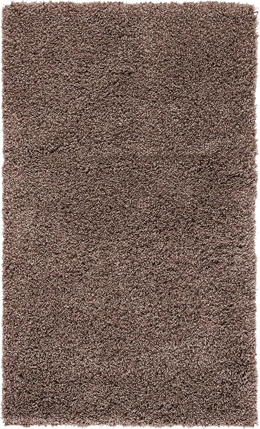 SAFAVIEH Area Rug 4x6 - Image 4