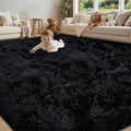 6x9 Area Rug for Living Room:Ultra Soft Fluffy Shag Black Rugs, Large Fuzzy by Unknown