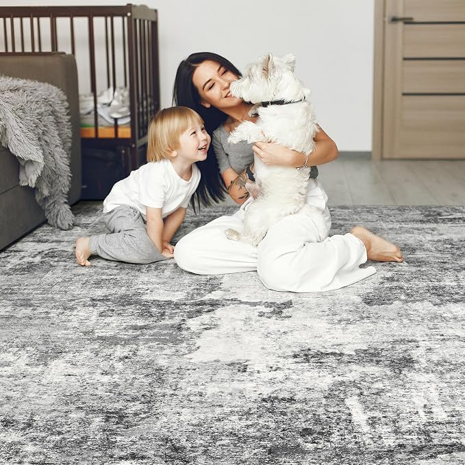 DMOYEST 8x10 Area Rug for Living Room, Washable & Non Slip Large Indoor Carpet - Image 6