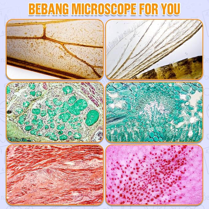 Handheld Portable Pocket Microscope for Kids - BEBANG 135x Mini Lab Kids Microscope with 5 Prepared Slides LED Portable Microbiological Observation Miniscope Tool for Science Exploration