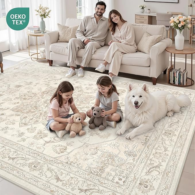 4x6 Area Rugs for Living Room: Vintage Boho Neutral Washable Rug Indoor Soft - Image 8