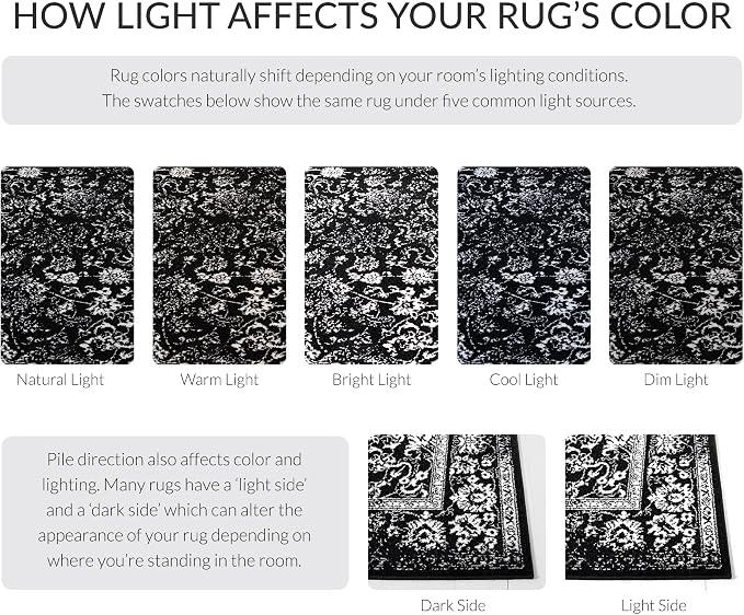 SAFAVIEH Adirondack Collection Area Rug - Image 5