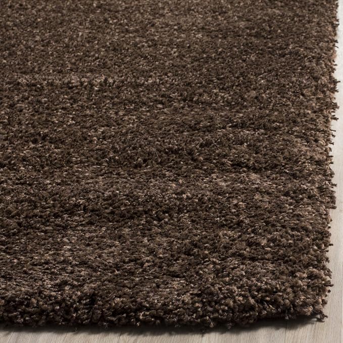 SAFAVIEH Area Rug 4x6 - Image 4