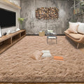 Tepook Super Soft Fluffy Rugs for Living Room, Shag 6x9 Area Rugs for Bedroom by Tepook
