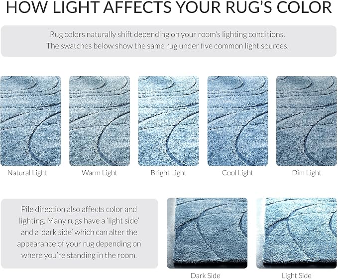 SAFAVIEH Florida Shag Collection Area Rug - Image 7
