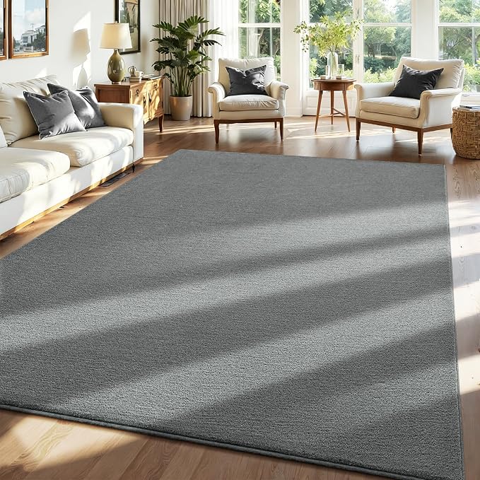 ISEAU 5x7 Rug for Living Room, Soft Memory Foam Carpet by ISEAU