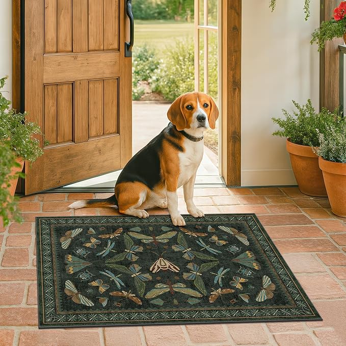 Hazo Haus 2x4 Entry Way Rugs Indoor - Image 8