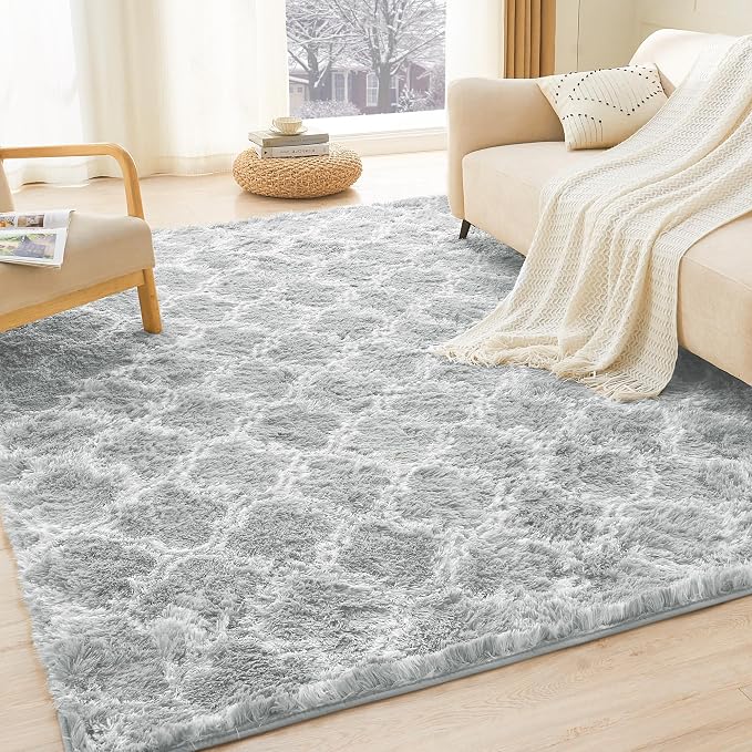 Litanika 6x9 Geometric Shag Area Rug by Litanika