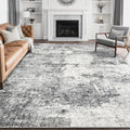 DMOYEST 10x14 Area Rug for Living Room, Washable & Non Slip Large Indoor Carpet by DMOYEST