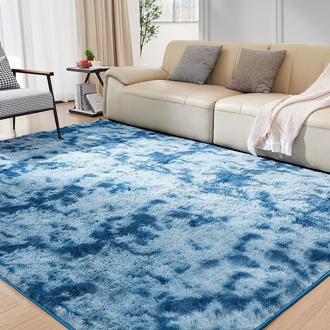 Ultra Soft Rug for Living Room, 4X6 Fluffy Shag Area Rug for Bedroom, Modern by Fairblink