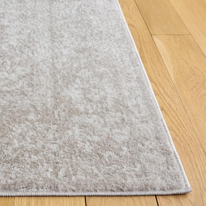 SAFAVIEH Area Rug 9x12 - Image 5