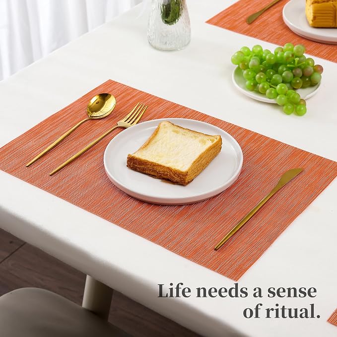 Leetaltree Orange Placemats Set of 12 - Image 6