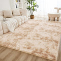 Litanika 6x9 Shag Area Rug for Living Room Bedroom, Tie-Dyed Beige High Pile by Litanika